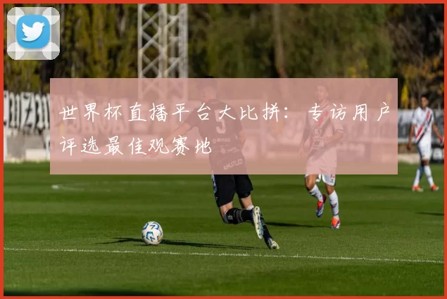 世界杯直播平台大比拼:专访用户评选最佳观赛地