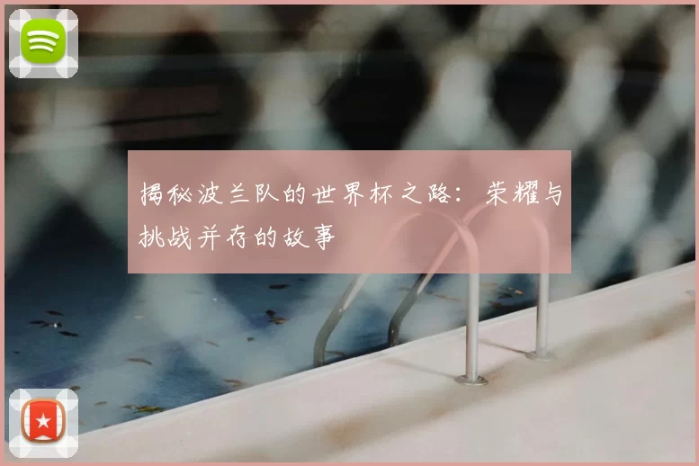 揭秘波兰队的世界杯之路：荣耀与挑战并存的故事