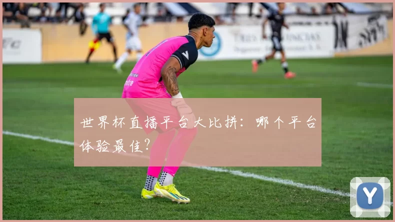 世界杯直播平台大比拼：哪个平台体验最佳？