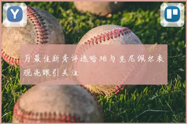 月最佳新秀评选哈珀与克尼佩尔表现亮眼引关注