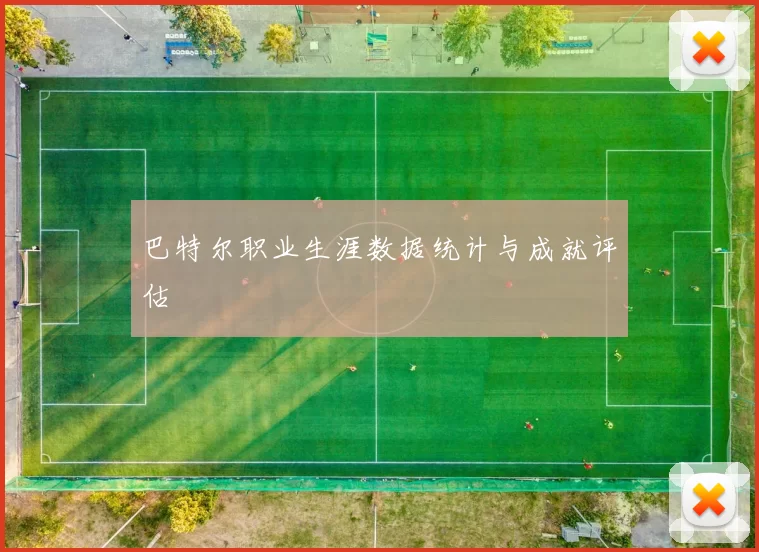 巴特尔职业生涯数据统计与成就评估