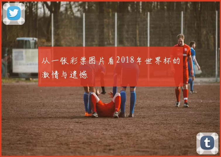 从一张彩票图片看2018年世界杯的激情与遗憾