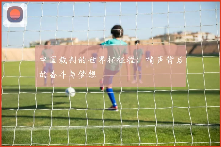 中国裁判的世界杯征程:哨声背后的奋斗与梦想