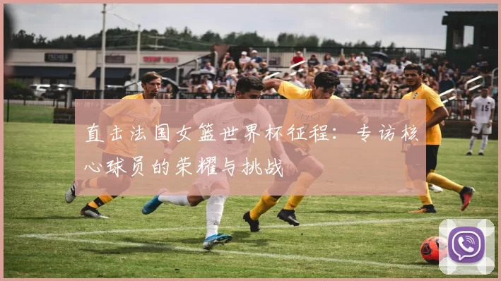 直击法国女篮世界杯征程:专访核心球员的荣耀与挑战