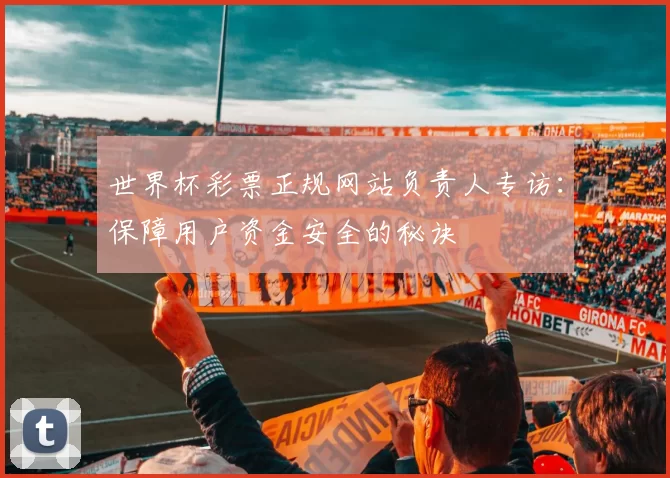 世界杯彩票正规网站负责人专访:保障用户资金安全的秘诀