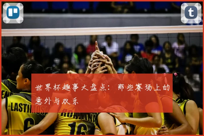 世界杯趣事大盘点：那些赛场上的意外与欢乐