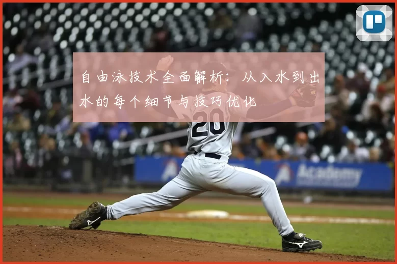 自由泳技术全面解析:从入水到出水的每个细节与技巧优化