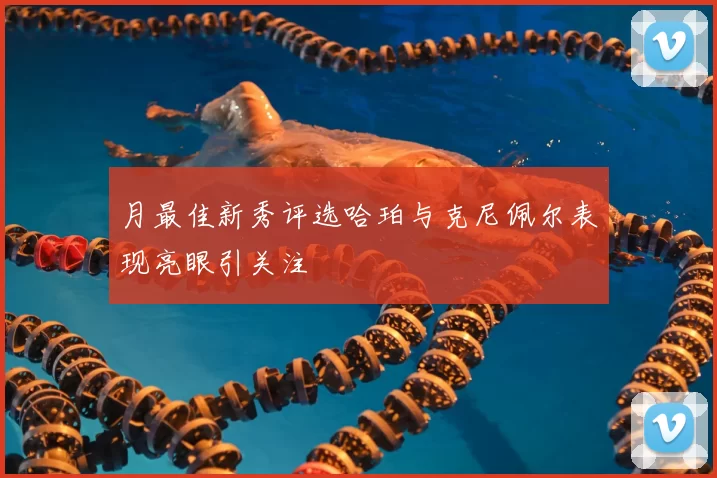 月最佳新秀评选哈珀与克尼佩尔表现亮眼引关注