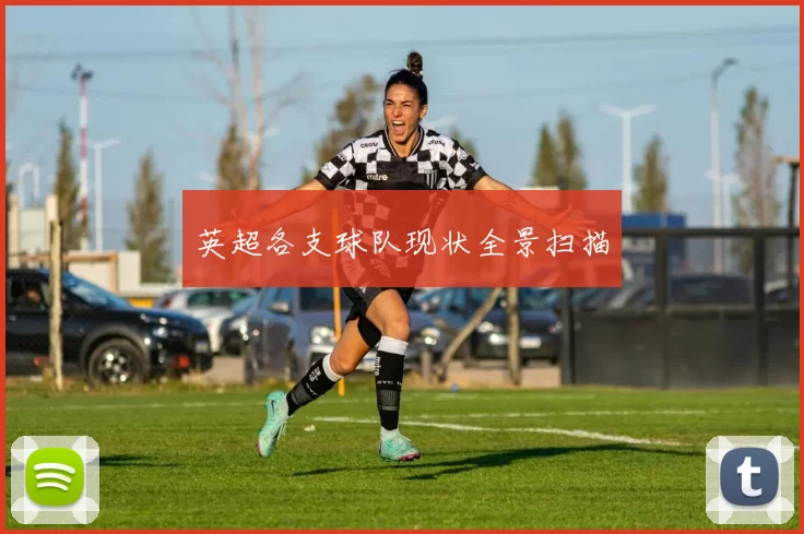 英超各支球队现状全景扫描