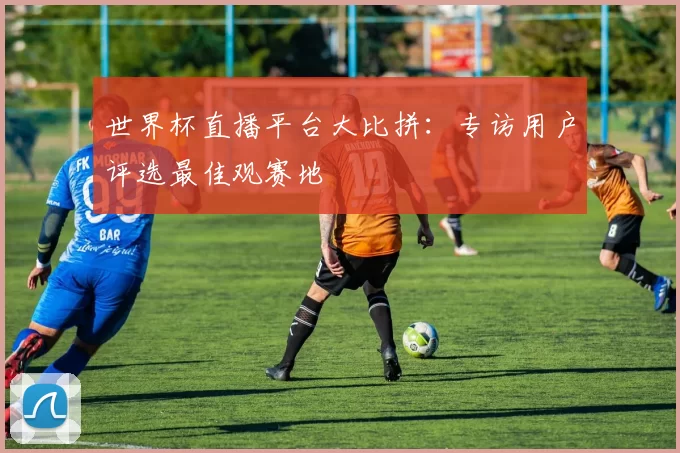 世界杯直播平台大比拼：专访用户评选最佳观赛地